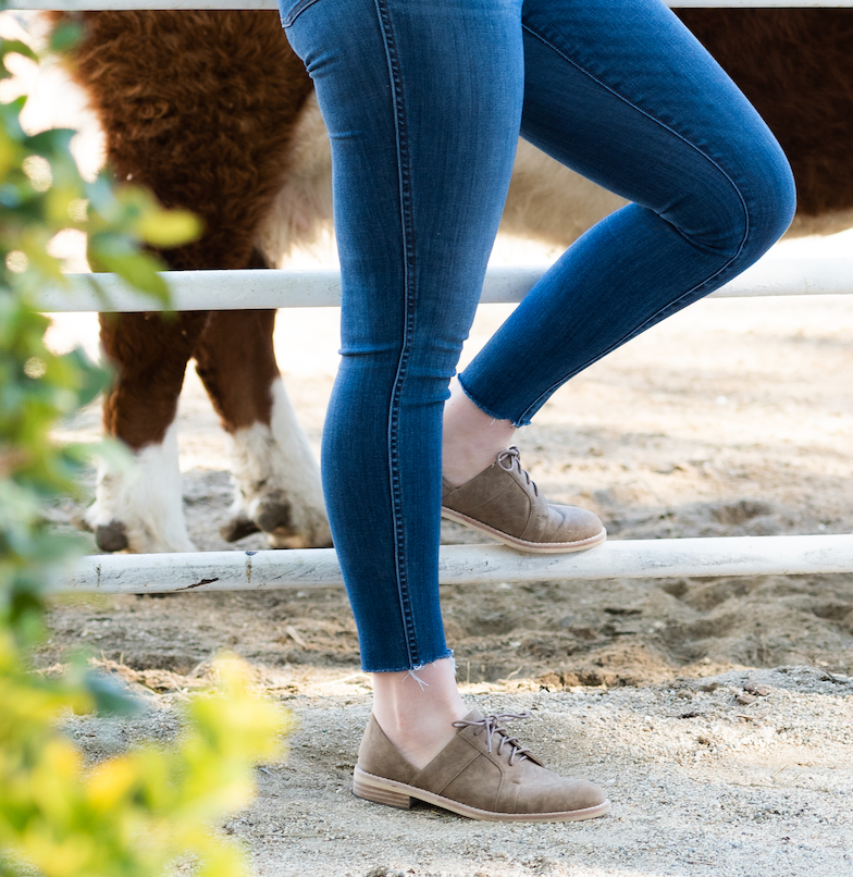 Sage Taupe Oxford